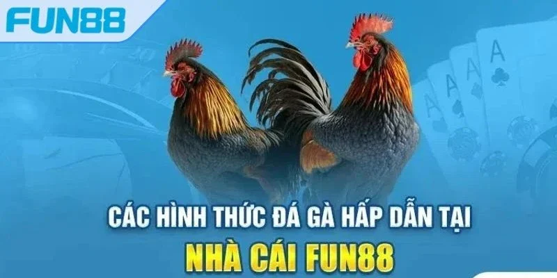 da-ga-fun88-da-dang-qua-tung-loai-hinh-cuoc